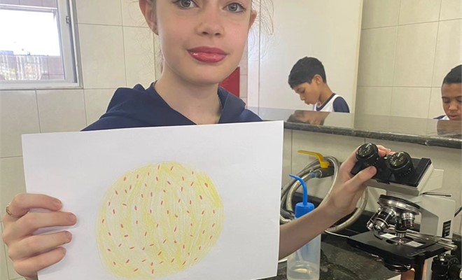 C�lula animal e vegetal