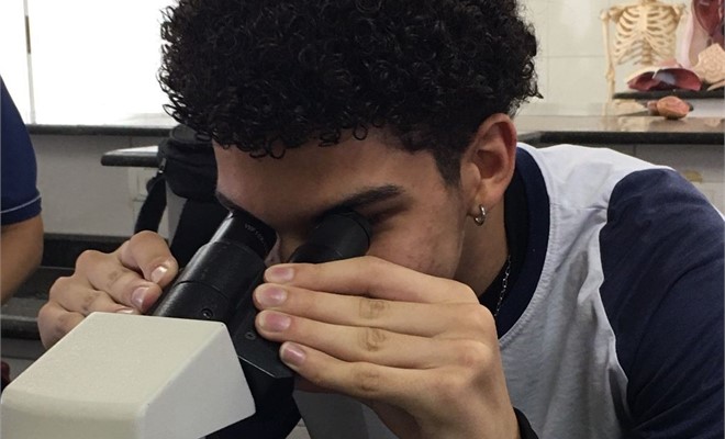 Incr�vel mundo dos tipos celulares